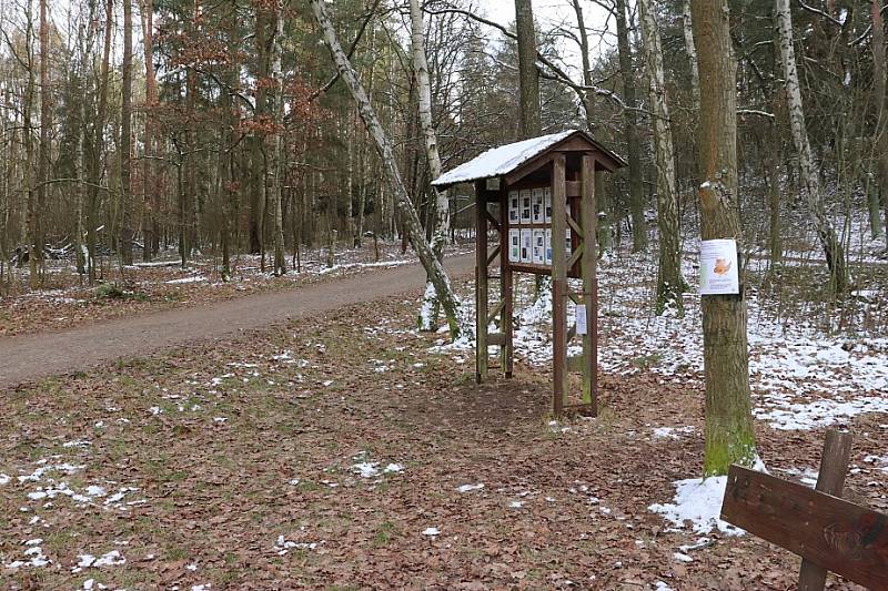 Dobrodružná cesta na Hubertově naučné stezce.