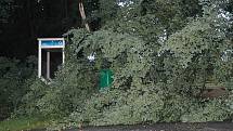 Během čtvrteční bouřky popadaly na Českolipsku desítky stromů. 