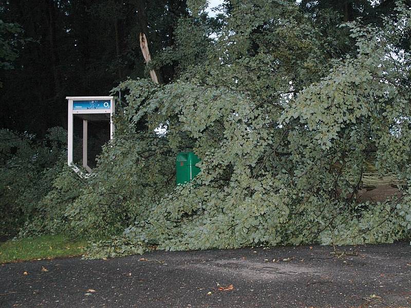 Během čtvrteční bouřky popadaly na Českolipsku desítky stromů. 