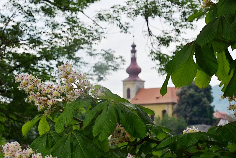 Krajina Holanských rybníků láká filmaře