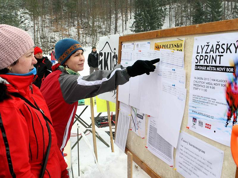 Sprinterské klání o pohár města Nový Bor v běhu na lyžích.