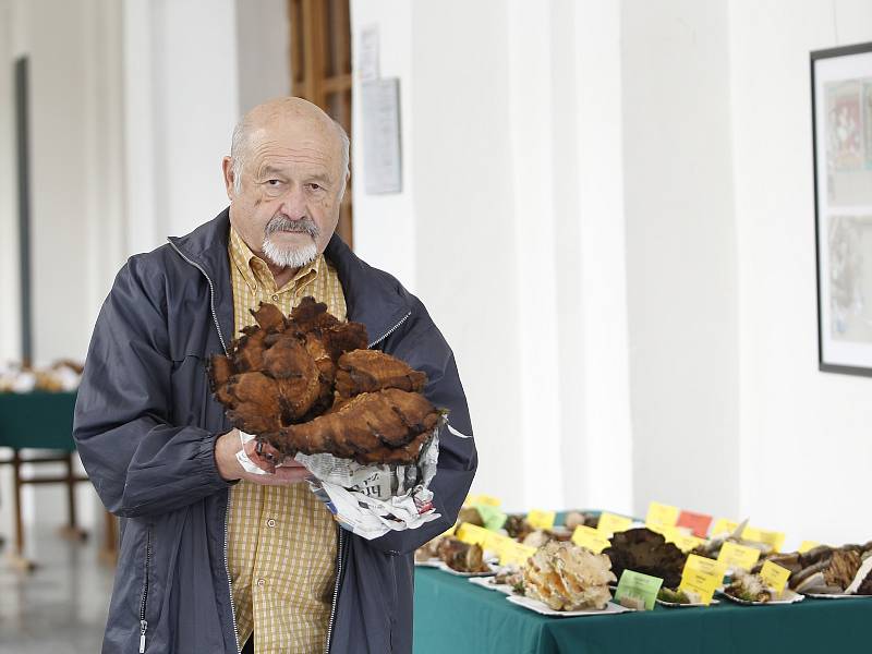 Vlastivědné muzeum společně s ekoporadnou ORSEJ pořádá již tradiční výstavu hub i s mykologickou poradnou. K vidění jsou opravdové rarity.