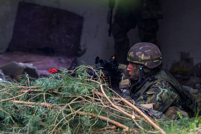 Zhruba 300 českých a amerických vojáků nacvičovalo  28. dubna dobytí letiště Hradčany ve vojenském prostoru Ralsko na Českolipsku v rámci dvoudenního cvičení Saber Junction 2017. Cílem cvičení bylo natrénovat postupy i spolupráci s americkými jednotkami.