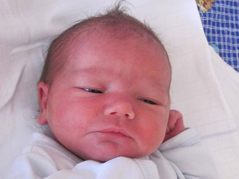 Mamince Andreje Kalvodové z České Lípy se 6. července v 5:18 hod. narodila dcera Sofie Kořínková. Měřila 48 cm a vážila 3,1 kg.