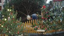 Vánoční strom spadl v centru České Lípy 