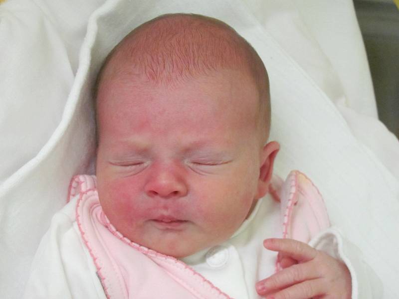 Mamince Simoně Svobodové z České Lípy se v úterý 20. ledna v 10:29 hodin narodila dcera Amálie Štěpánková. Měřila 48 cm a vážila 3,09 kg.