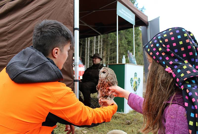 Den za obnovu lesa u Svoru na Českolipsku