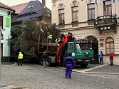 Na náměstí T. G. Masaryka v České Lípě je již vánoční strom.