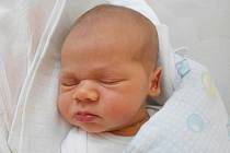 Rodičům Johaně Vozdekové a Davidu Hanušovi se v pátek 8. října ve 13:02 hodin narodil syn Noe. Měřil 53 cm a vážil 4,40 kg. Doma se na něj těšila i sestřička Lilly.