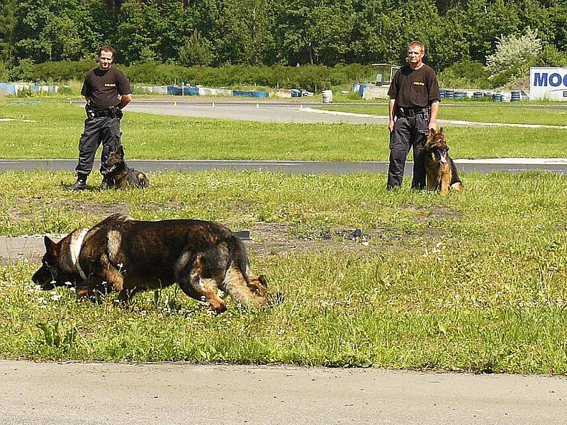 Zásahovou jednotka Policie ČR, psovody, pražskou jízdní policii a další složky integrovaného záchranného systému bylo možné v sobotu vidět na autodromu v Sosnové během devátého ročníku akce Den s policí.