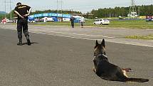 Zásahovou jednotka Policie ČR, psovody, pražskou jízdní policii a další složky integrovaného záchranného systému bylo možné v sobotu vidět na autodromu v Sosnové během devátého ročníku akce Den s policí.