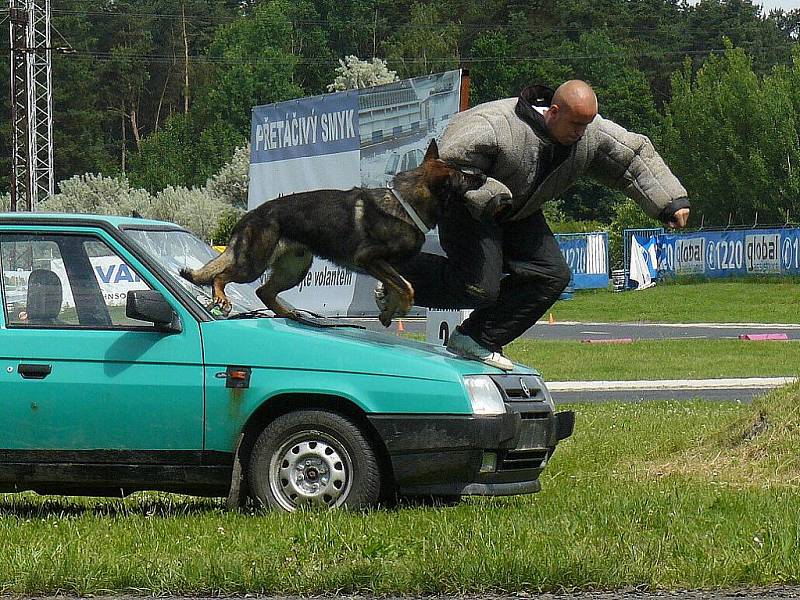 Zásahovou jednotka Policie ČR, psovody, pražskou jízdní policii a další složky integrovaného záchranného systému bylo možné v sobotu vidět na autodromu v Sosnové během devátého ročníku akce Den s policí.