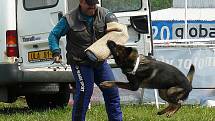 Zásahovou jednotka Policie ČR, psovody, pražskou jízdní policii a další složky integrovaného záchranného systému bylo možné v sobotu vidět na autodromu v Sosnové během devátého ročníku akce Den s policí.