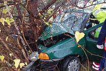 Auto havarovalo u Chotovic do stromu
