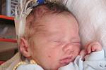 Mamince Miluši Poupové z České Lípy se 22. března v 1:37 hodin narodil syn Dominik Poupa. Měřil 52 cm a vážil 3,53 kg.