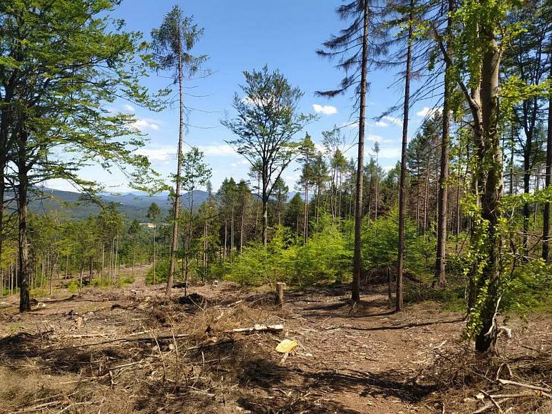 Klíč, dominanta Boru, nabízí úchvatné rozhledy