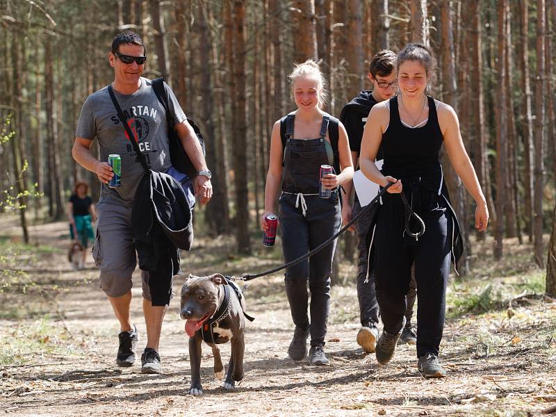 Ve Stráži pod Ralskem se konal orientační pochod se psy - Strážský dogtrek. Na trasu dlouhou 12 km se přihlásilo na dvě stovky účastníků.