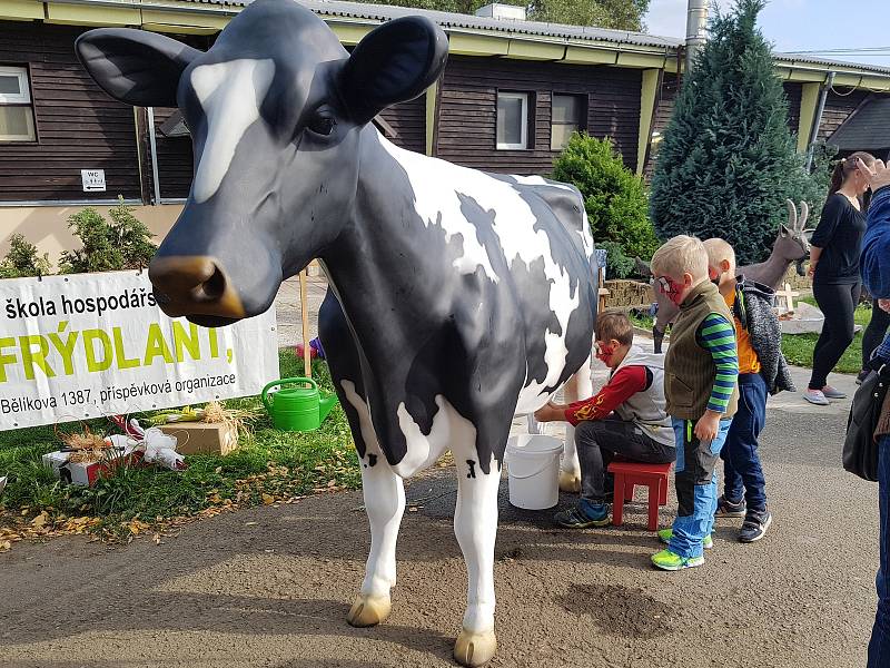 Tradiční Svatováclavská dražba beranů a farmářské trhy na Kozí farmě Pěnčín lákají díky doprovodnému programu množství lidí.