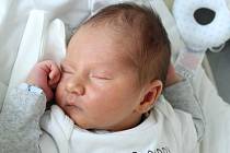 Rodičům Martině a Jiřímu Pačinkovým z Nového Boru se v pátek 29. července v 16:09 hodin narodil syn Michal Pačinek. Měřil 53 cm a vážil 3,96 kg.