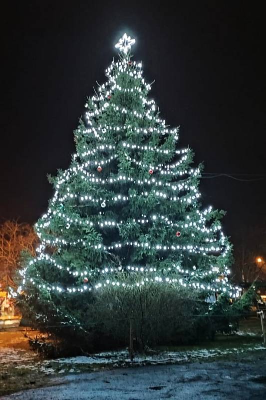 Vánoční strom ve Sloupu v Čechách
