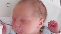 Mamince Kláře Absolonové z České Lípy se 22. ledna narodila dvojčata Ondřej a Eliška Vystrčilovi. Syn Ondřej přišel na svět 7:52 hodin, měřil 49 cm a vážil 3 kg. 