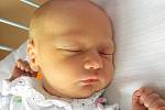 Mamince Kateřině Hendrychové ze Stružnice se 30. července v 9:12 hodin narodila dcera Adriana Hendrychová. Měřila 50 cm a vážila 3,14 kg. 
