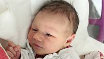 Mamince Karolíně Pillmannové z Mimoně se ve středu 23. listopadu ve 23:33 hodin narodila dcera Anežka Helmová. Měřila 50 cm a vážila 3,25 kg.