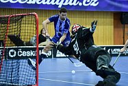 Českolipští florbalisté doma porazili v důležitém utkání Karlovy Vary 9:5.