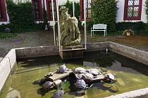 Bazén s vodními želvami v areálu českolipského muzea.