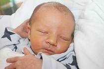 Rodičům Lence Horné Halamové a Ctiradovi Hornému se v pátek 17. června v 19:29 hodin narodil syn Albert Horný. Měřil 50 cm a vážil 3,17 kg.