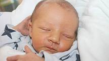 Rodičům Lence Horné Halamové a Ctiradovi Hornému se v pátek 17. června v 19:29 hodin narodil syn Albert Horný. Měřil 50 cm a vážil 3,17 kg.