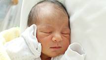 Mamince Martině Giňové z Ralska – Ploužnice se v neděli 15. května v 1:04 hodin narodil syn Dušan Giňa. Měřil 48 cm a vážil 2,85 kg.
