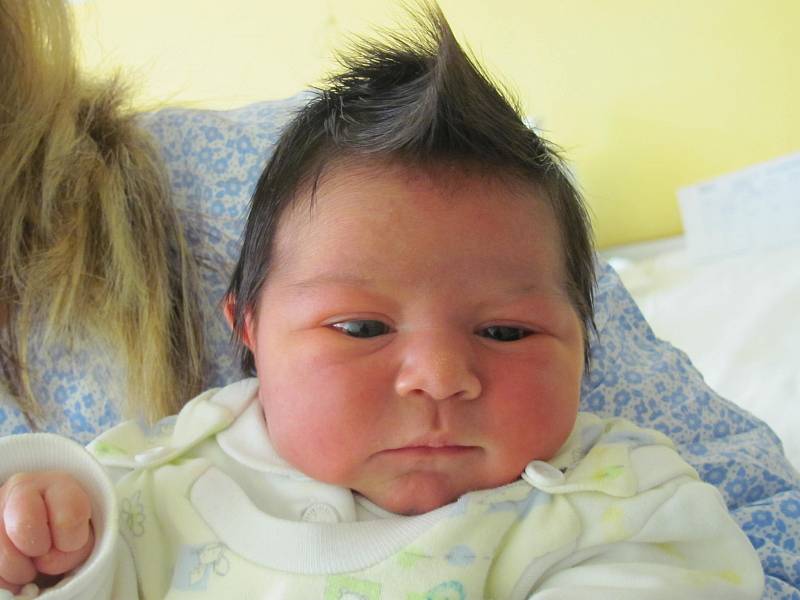 Mamince Jarmile Volfové z České Lípy se v úterý 19. listopadu ve 22:35 hodin narodila dcera Nela Volfová. Měřila 49 cm a vážila 3,27 kg.