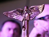 Kdo si odnese sošku anděla v kategorii Folk & Country? Akademici nominovali Radůzu, Karla Plíhala a kapely Zrní a Zhasni.