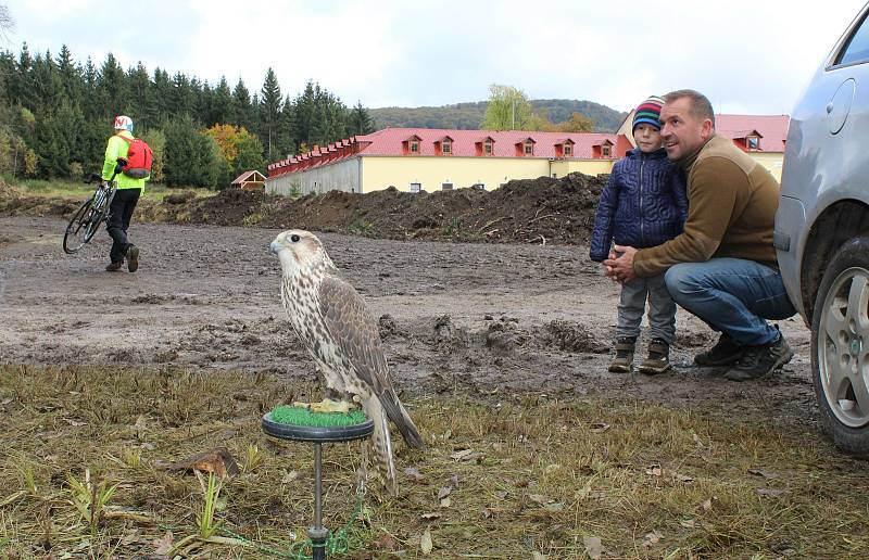 Den za obnovu lesa u Svoru na Českolipsku