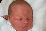 Mamince Lence Havlíkové z České Lípy se 11. ledna v 18:08 hodin narodila dcera Tereza Havlíková. Měřila 52 cm a vážila 3,80 kg. 