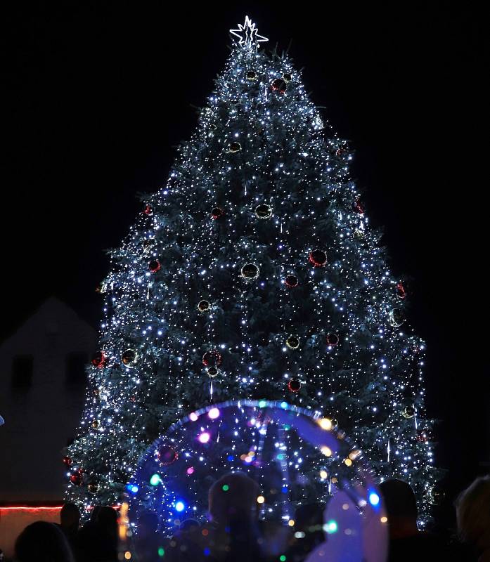 Vánoční strom ve Stráži pod Ralskem