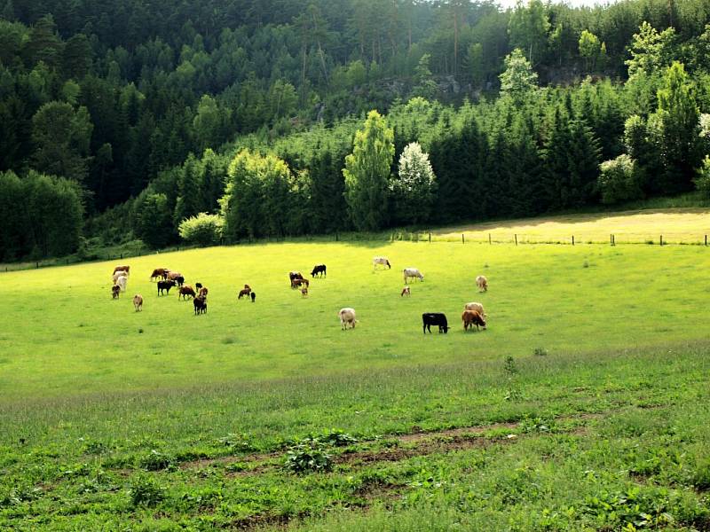 Dva roky zde funguje sociální farma, která pomáhá lidem zpět do života a v budoucnu by se měla stát významným centrem tradičního zemědělství. 