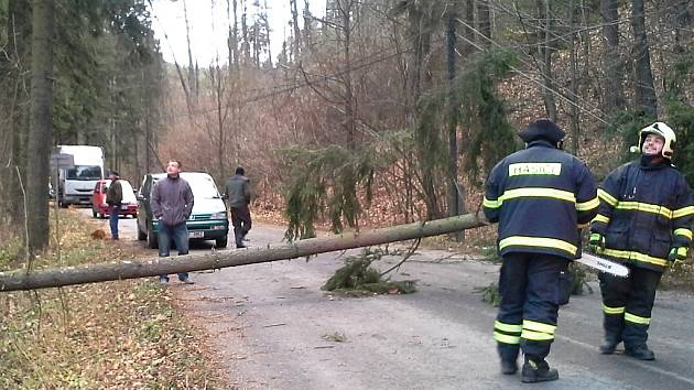 Zákupští hasiči měli v pátek plné ruce práce. Popadané stromy odklízeli na několika místech.
