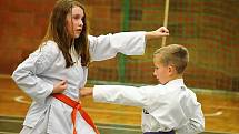 Sport Relax pořádal seminář s názvem Karate nás baví.