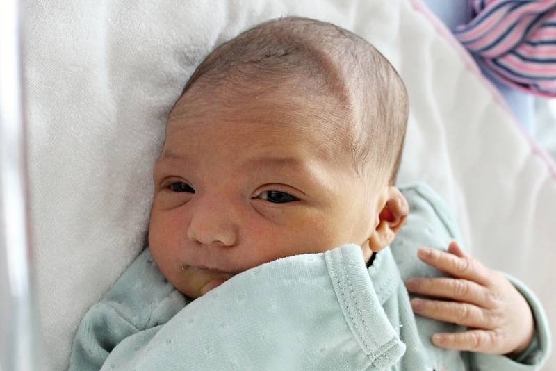 Rodičům Kamile Berkiové a Mariánu Kalejovi z České Lípy se v úterý 22. listopadu v 18:33 hodin narodila dcera Šarlota Kalejová. Měřila 49 cm a vážila 3,15 kg.