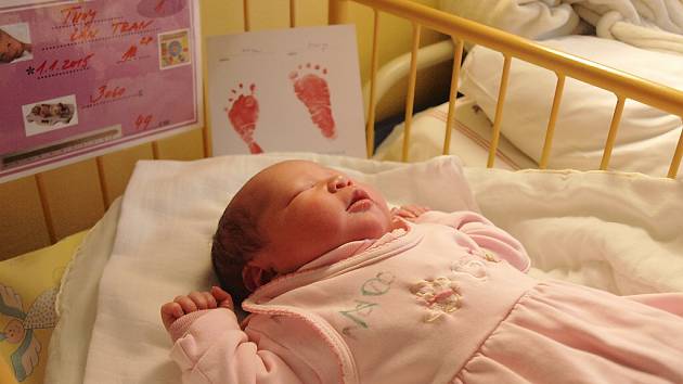 Prvním miminkem roku 2015 na Českolipsku a současně i v Libereckém kraji je vietnamská holčička. Malá Tran Thuy Lan se narodila v 10:28 v Nemocnici s poliklinikou v České Lípě. 