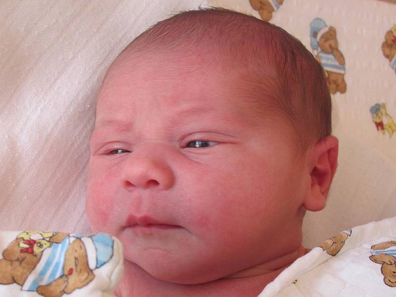 Mamince Andreje Říčařové z České Lípy se 23. března ve 12:30 hodin narodila dcera Adina Říčařová. Měřila 50 cm a vážila 3,71 kg.