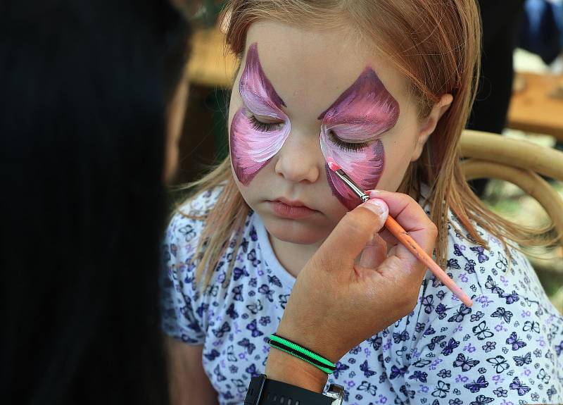 Festival rozkvetlé louky v Brništi