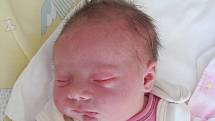 Rodičům Michaele Kocourkové a Erikovi Funkemu z Okrouhlé se v pondělí 29. srpna ve 14:05 hodin narodila dcera Adéla Funkeová. Měřila 49 cm a vážila 3,36 kg.