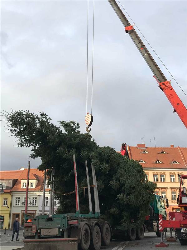 Vánoční strom zdobí českolipské náměstí.