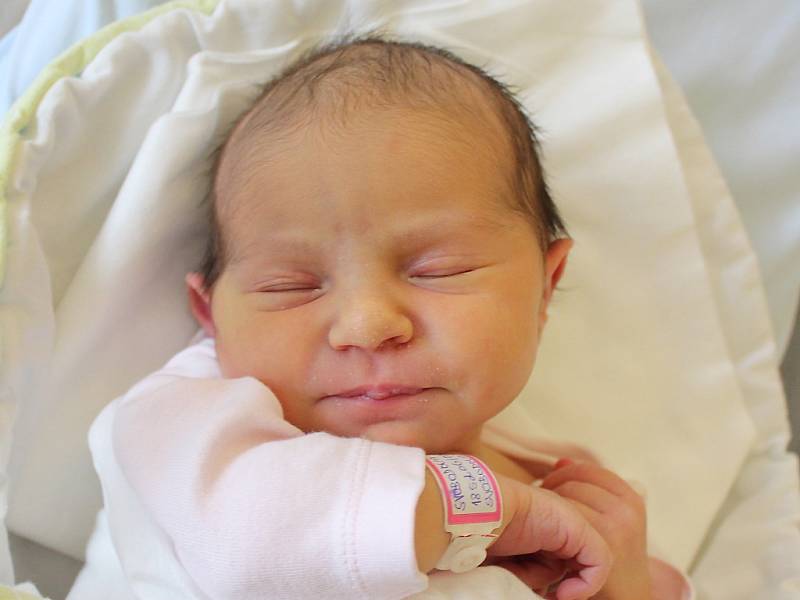 Mamince Michaele Svobodové z Nového Boru se v úterý 6. února narodila dcera Michaela Svobodová. Měřila 48 cm a vážila 3,42 kg.