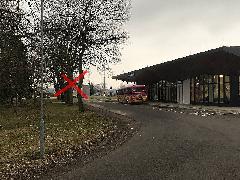 Řada stromů označených křížkem padne za oběť rozšíření autobusových nástupišť.