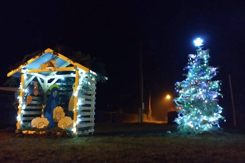 Vánoční strom na Starých Ladech v České Lípě