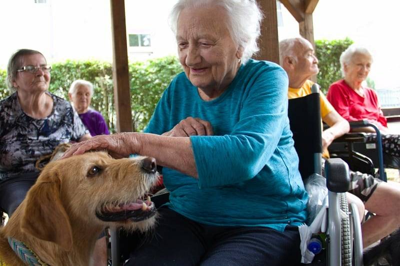 O euforii seniorů se v Mimoni postaral ochočený houser a kozy.